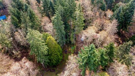 17124 80th Street SW Longbranch WA 98351