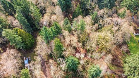 17124 80th Street SW Longbranch WA 98351