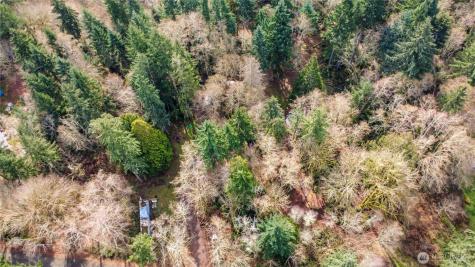 17124 80th Street SW Longbranch WA 98351