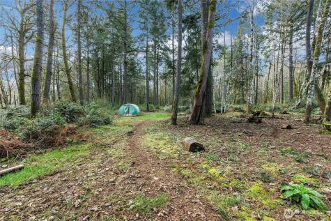 17124 80th Street SW Longbranch WA 98351