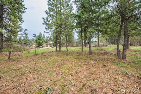 0 Alpensee Strasse Leavenworth WA 98826