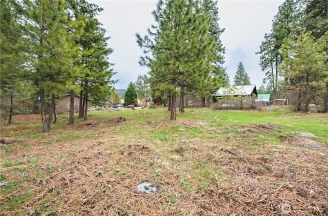 0 Alpensee Strasse Leavenworth WA 98826