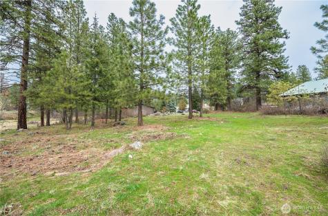 0 Alpensee Strasse Leavenworth WA 98826
