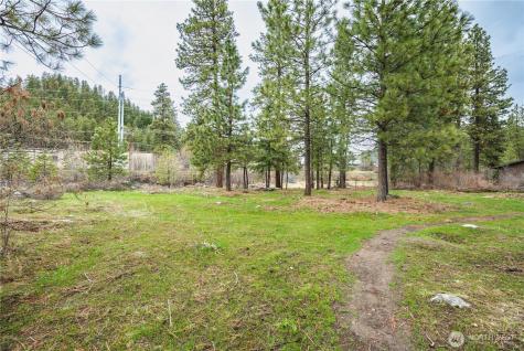 0 Alpensee Strasse Leavenworth WA 98826