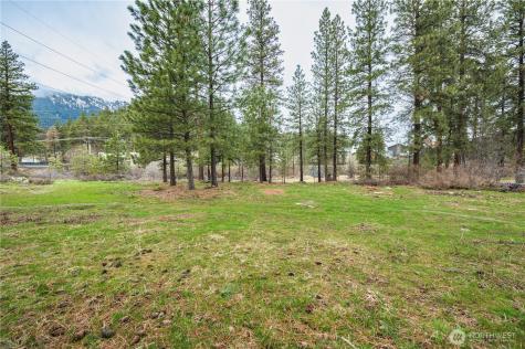 0 Alpensee Strasse Leavenworth WA 98826
