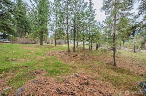 0 Alpensee Strasse Leavenworth WA 98826