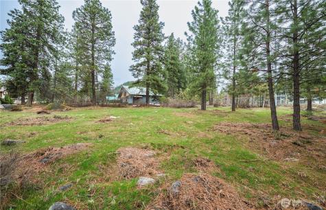 0 Alpensee Strasse Leavenworth WA 98826