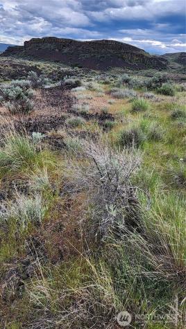 0 Lot 10 Singletree Drive Ephrata WA 98823