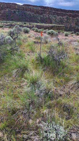 0 Lot 10 Singletree Drive Ephrata WA 98823