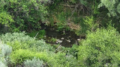 0 Lot 10 Singletree Drive Ephrata WA 98823