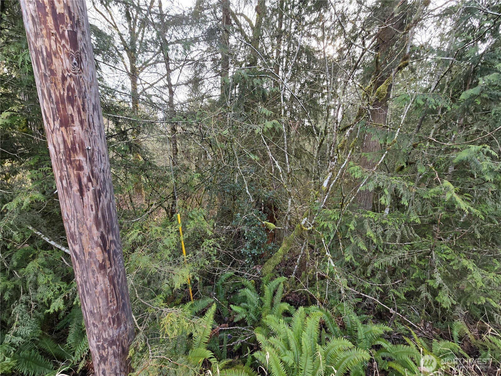 15102 Scott Turner Road E Eatonville WA 98328