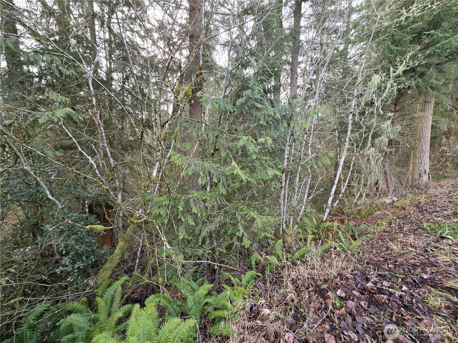 15102 Scott Turner Road E Eatonville WA 98328