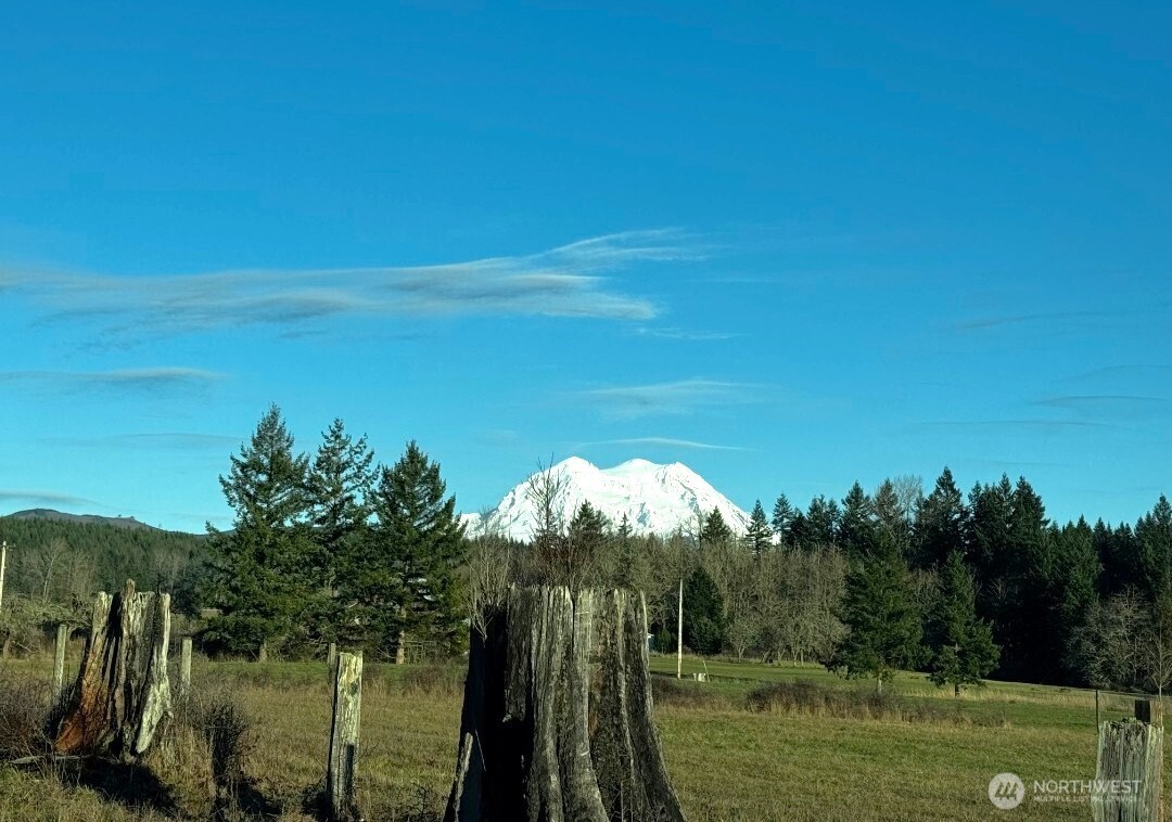 15102 Scott Turner Road E Eatonville WA 98328