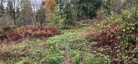 0 E Twanoh Heights Road Belfair WA 98528