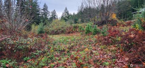 0 E Twanoh Heights Road Belfair WA 98528