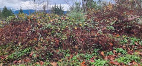 0 E Twanoh Heights Road Belfair WA 98528