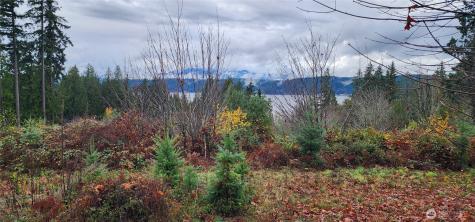 0 E Twanoh Heights Road Belfair WA 98528