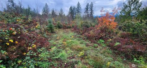 0 E Twanoh Heights Road Belfair WA 98528
