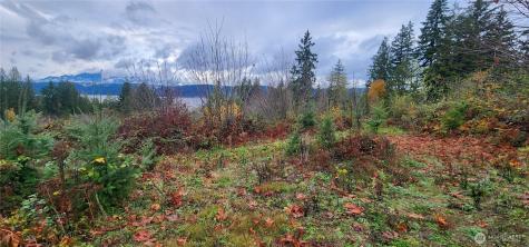 0 E Twanoh Heights Road Belfair WA 98528