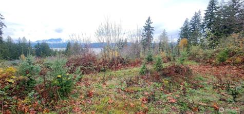 0 E Twanoh Heights Road Belfair WA 98528
