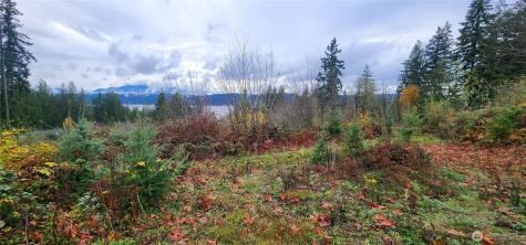 0 E Twanoh Heights Road Belfair WA 98528