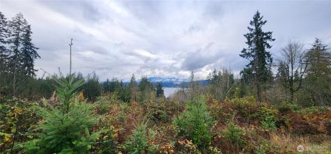 0 E Twanoh Heights Road Belfair WA 98528