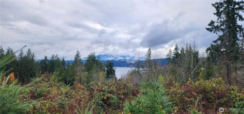 0 E Twanoh Heights Road Belfair WA 98528