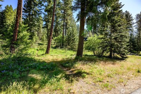 1980 Coal Mine Way Cle Elum WA 98922