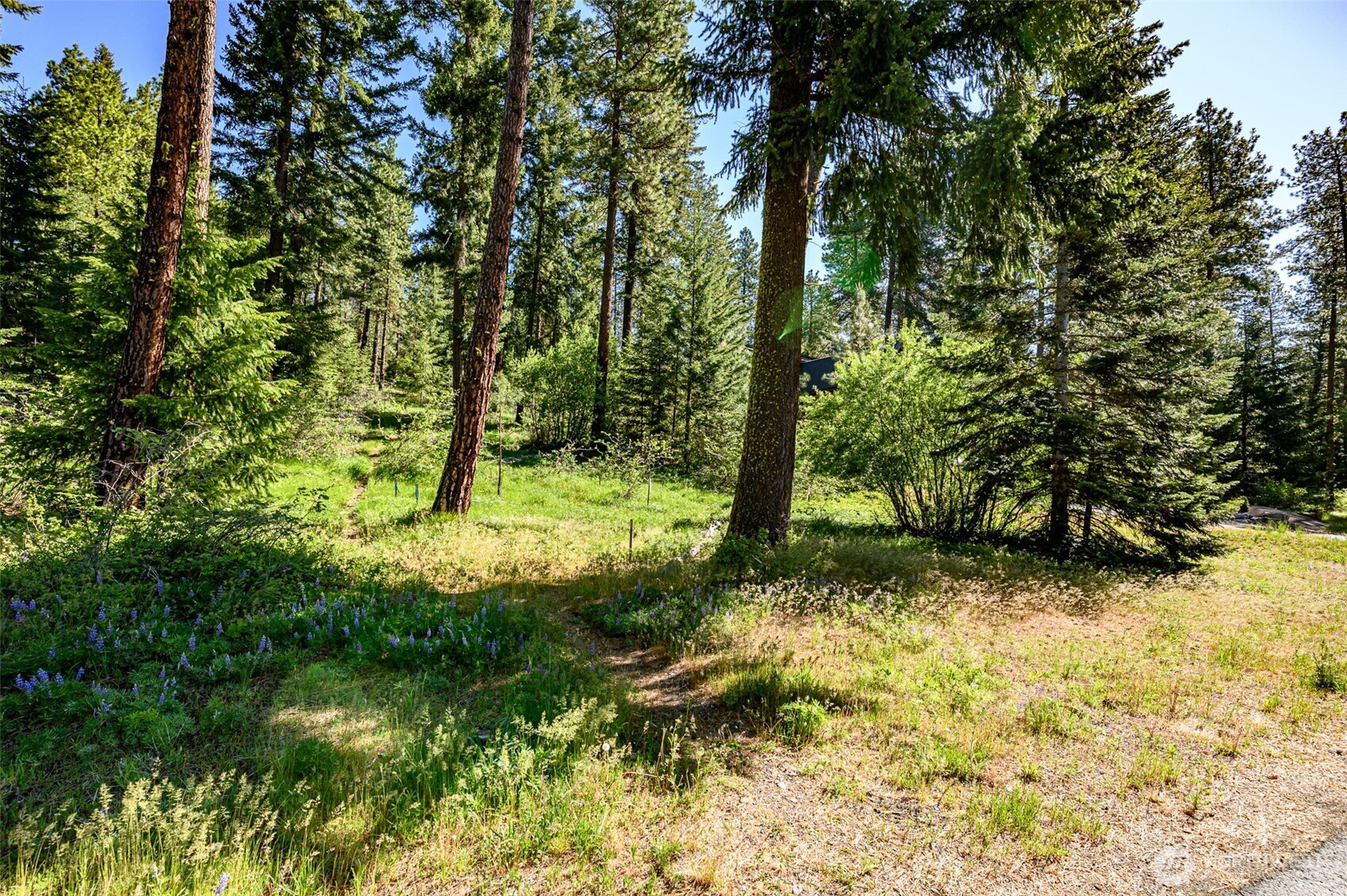 1980 Coal Mine Way Cle Elum WA 98922