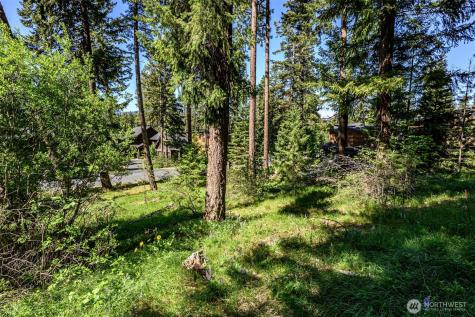 1980 Coal Mine Way Cle Elum WA 98922