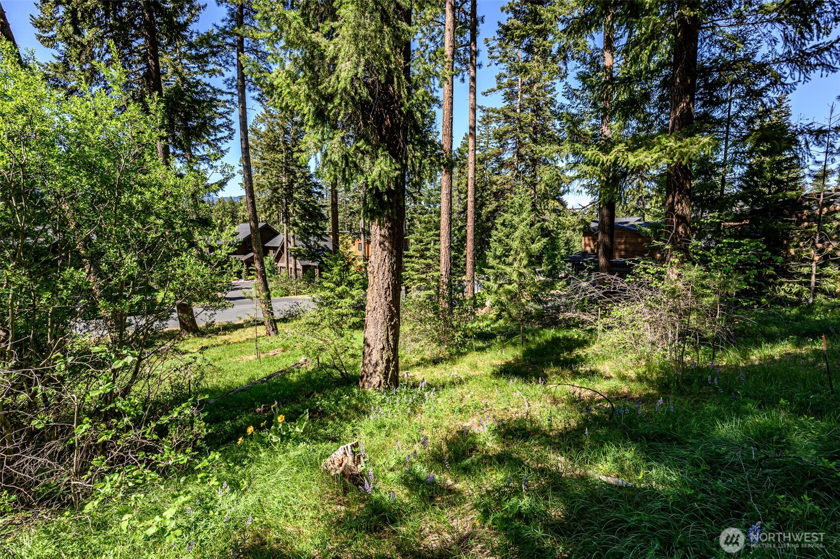 1980 Coal Mine Way Cle Elum WA 98922
