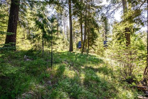 1980 Coal Mine Way Cle Elum WA 98922