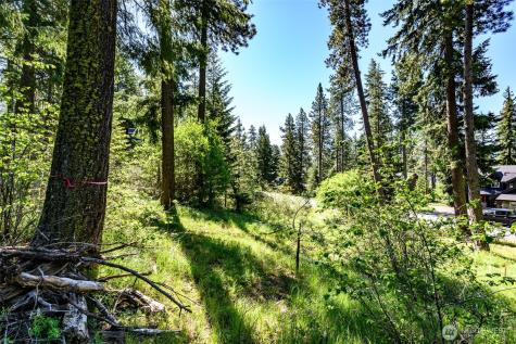 1980 Coal Mine Way Cle Elum WA 98922