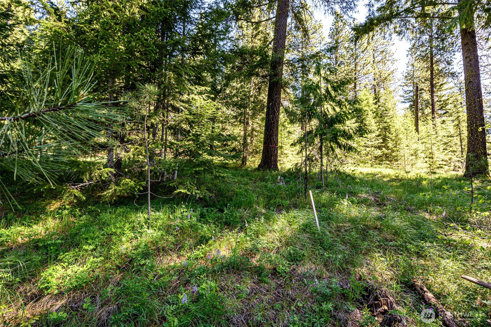 1980 Coal Mine Way Cle Elum WA 98922