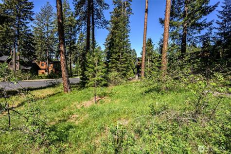 1980 Coal Mine Way Cle Elum WA 98922