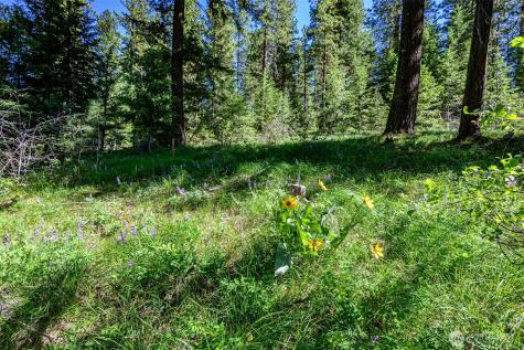 1980 Coal Mine Way Cle Elum WA 98922