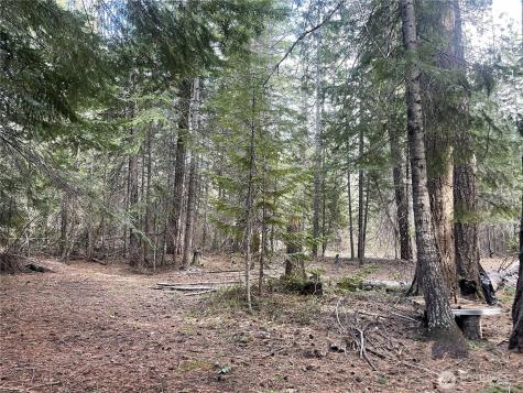 0 W Shugart Flats Road Leavenworth WA 98826