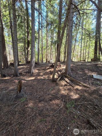 0 W Shugart Flats Road Leavenworth WA 98826