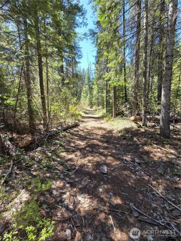 0 W Shugart Flats Road Leavenworth WA 98826