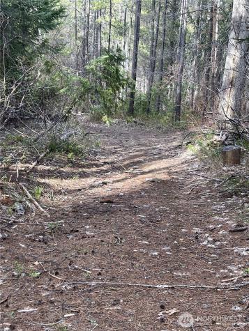 0 W Shugart Flats Road Leavenworth WA 98826