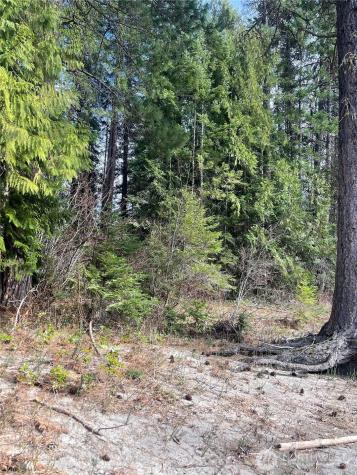 0 W Shugart Flats Road Leavenworth WA 98826