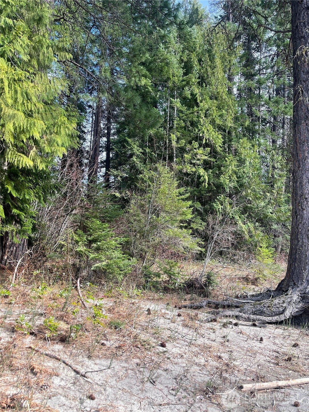 0 W Shugart Flats Road Leavenworth WA 98826