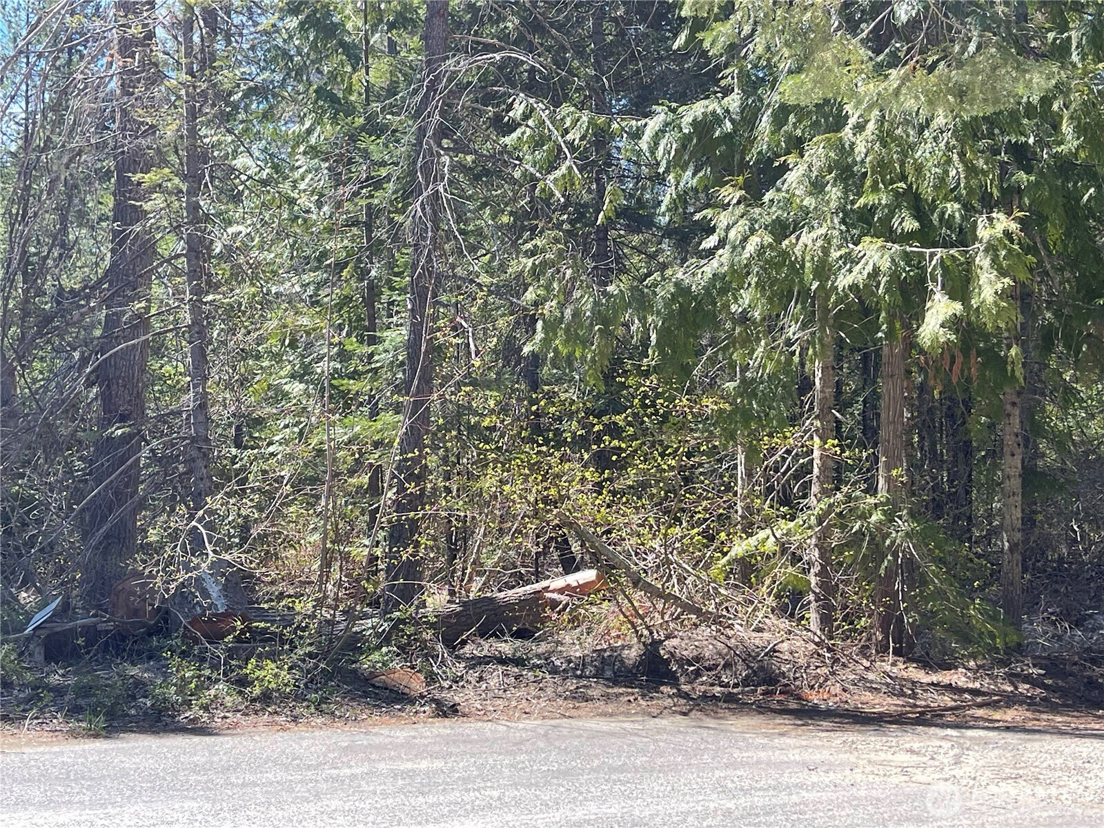 0 W Shugart Flats Road Leavenworth WA 98826