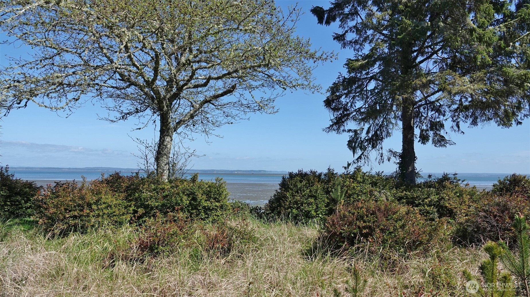 574 Chinook Avenue SE Ocean Shores WA 98569