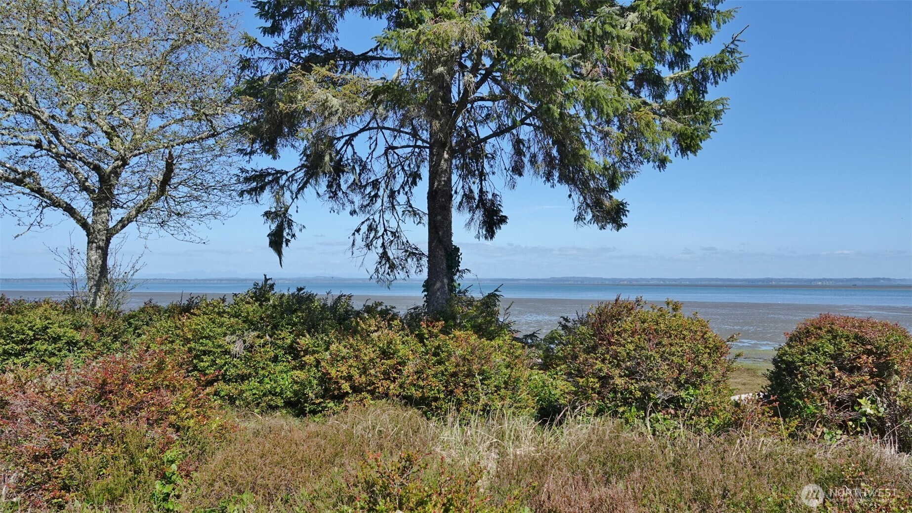 574 Chinook Avenue SE Ocean Shores WA 98569
