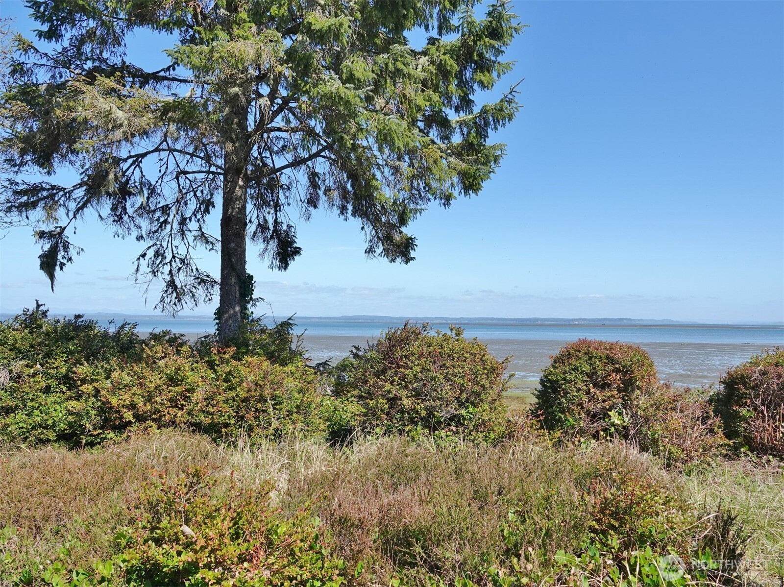 574 Chinook Avenue SE Ocean Shores WA 98569