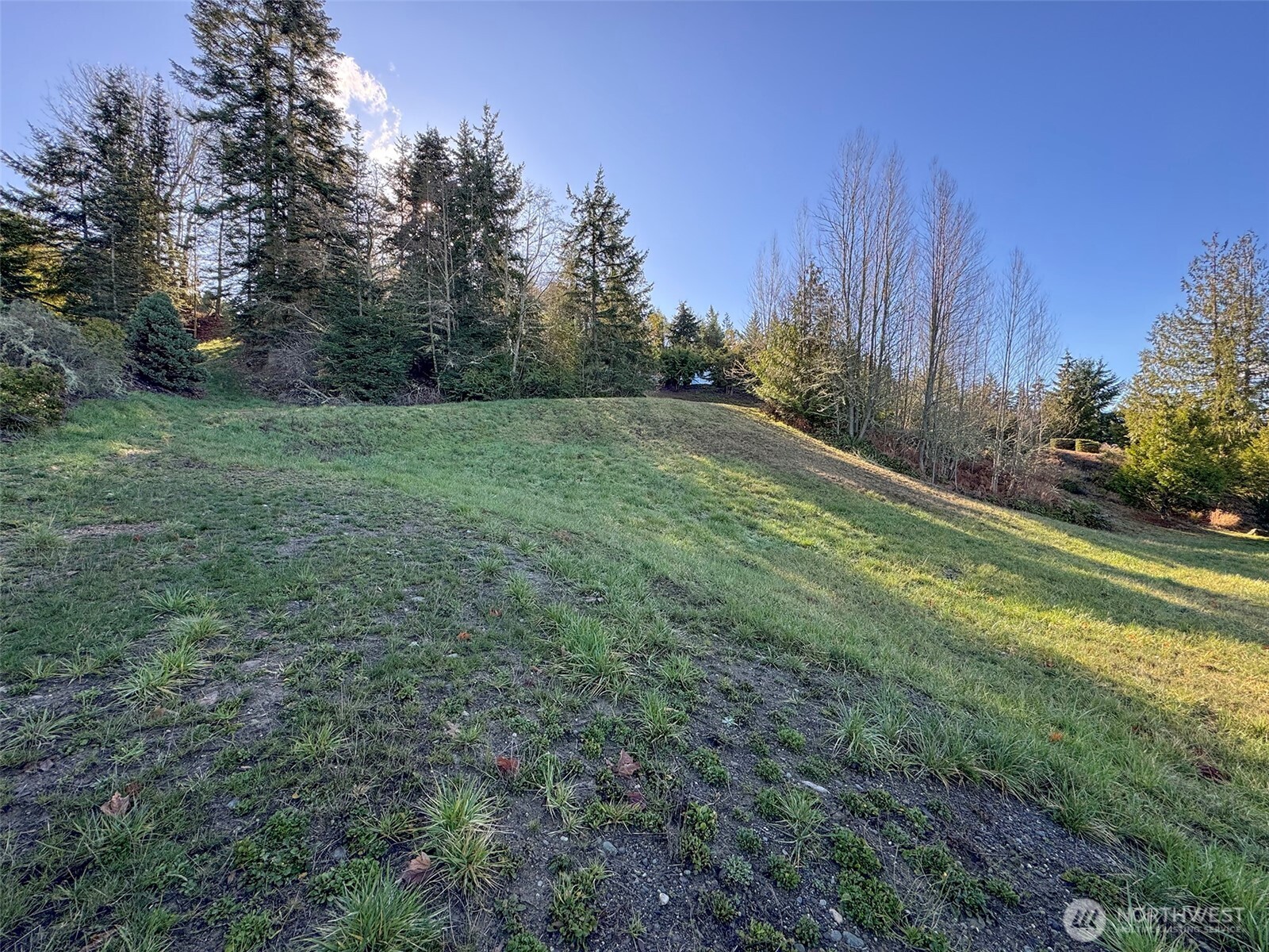 9999 Owls Nest Road Sequim WA 98382
