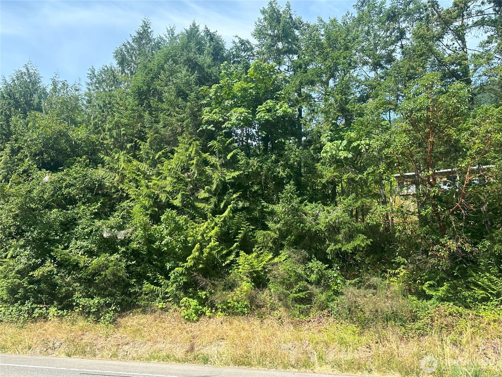 201 Tog Road Brinnon WA 98320