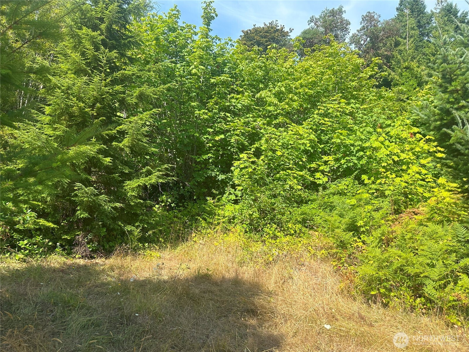 201 Tog Road Brinnon WA 98320