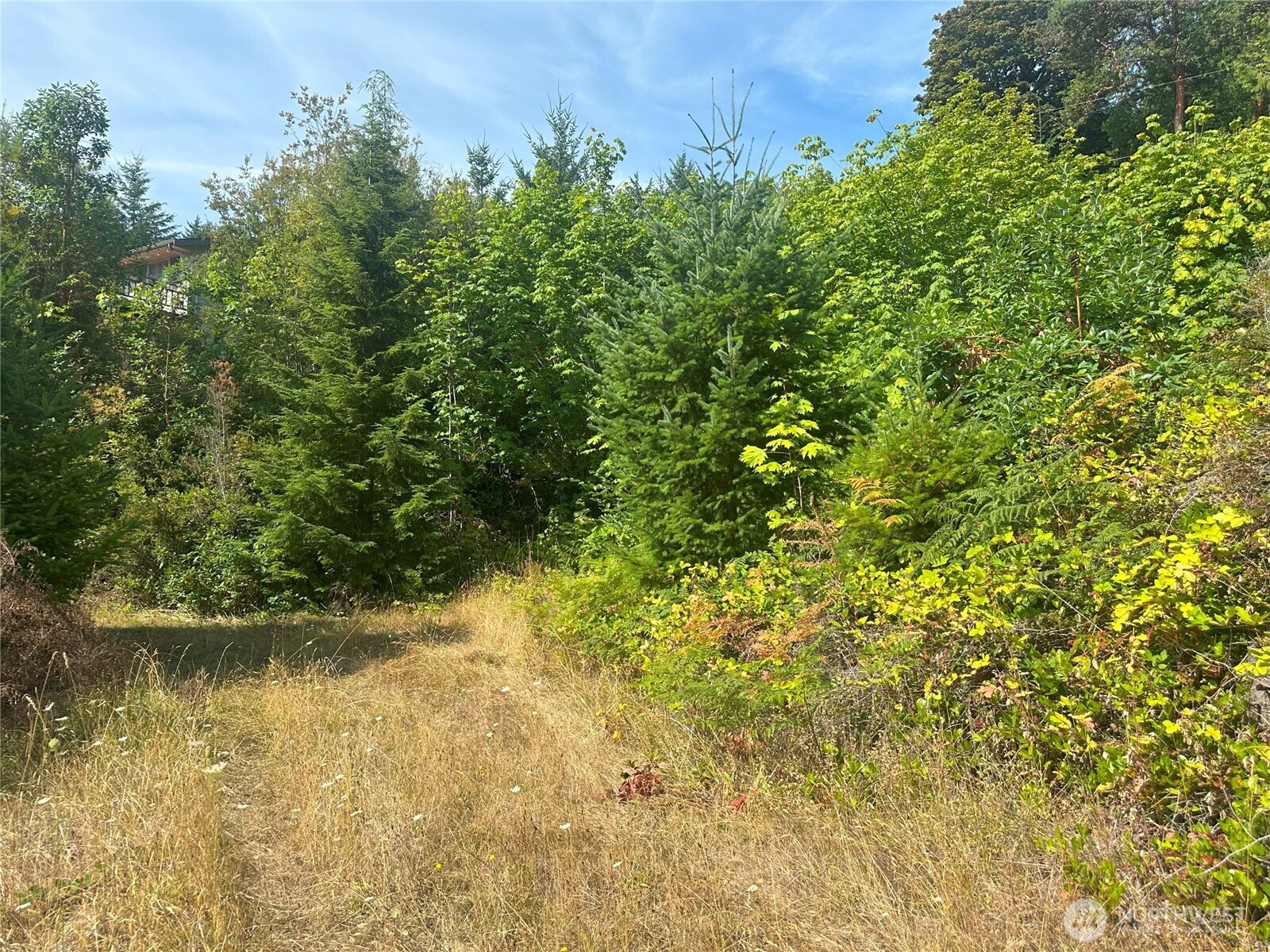 201 Tog Road Brinnon WA 98320